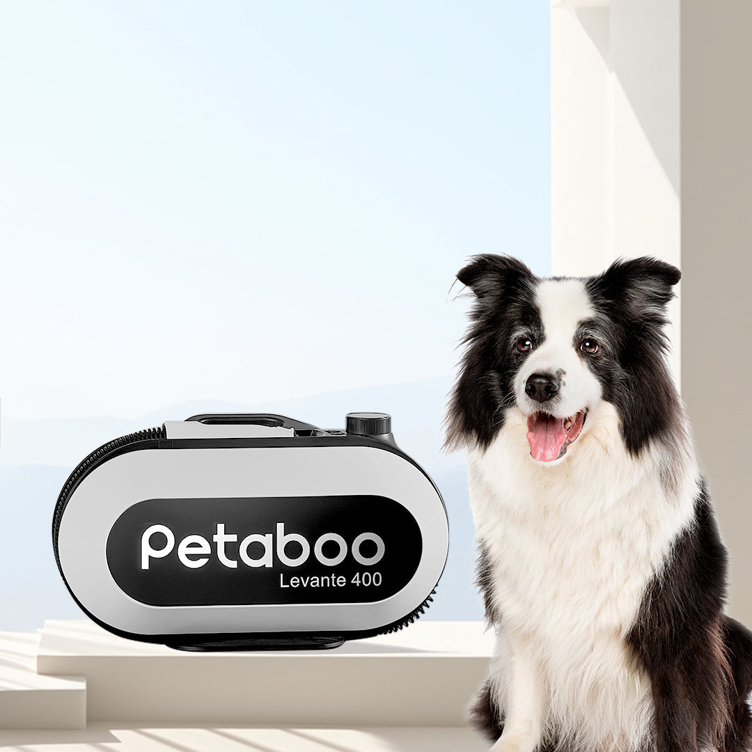 負離子智能吹毛機│Petaboo L400 - Design Chicken創意購物平台